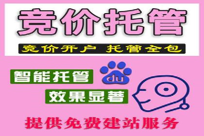 提升广告ROI的秘密：sem账户托管全解析